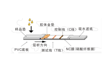 毒品检测试纸原理